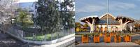 Imagine atasata: Comparatie autogara Timisoara - Mako 02.jpg